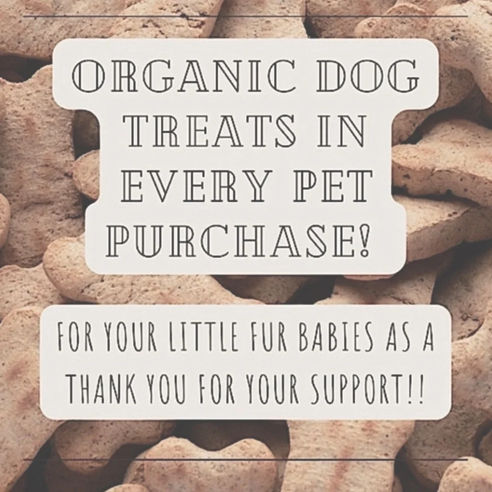 ♡︎ - Picture 12 of 12